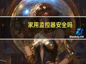 家用监控器安全吗