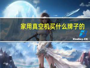 家用真空机买什么牌子的