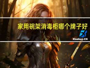 家用碗架消毒柜哪个牌子好