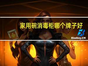 家用碗消毒柜哪个牌子好