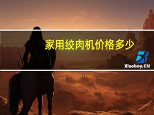 家用绞肉机价格多少