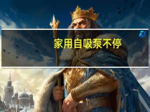 家用自吸泵不停