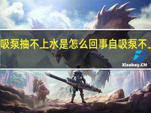 家用自吸泵抽不上水是怎么回事 自吸泵不上水什么原因