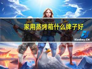 家用蒸烤箱什么牌子好