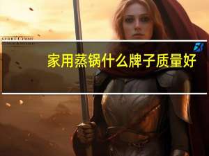 家用蒸锅什么牌子质量好