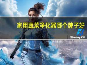 家用蔬菜净化器哪个牌子好