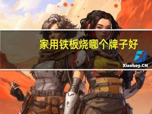 家用铁板烧哪个牌子好