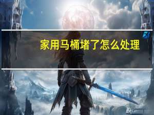 家用马桶堵了怎么处理