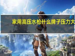 家用高压水枪什么牌子压力大