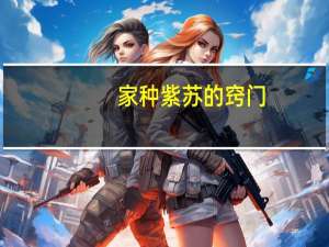 家种紫苏的窍门