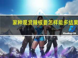 家种观赏辣椒要怎样能多结果