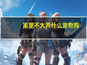 家里不大养什么宠物狗