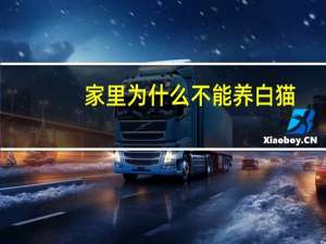 家里为什么不能养白猫