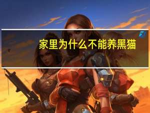 家里为什么不能养黑猫
