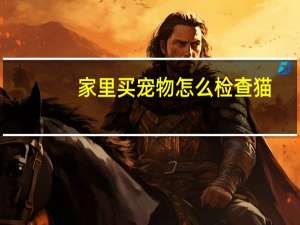 家里买宠物怎么检查猫