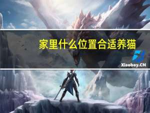 家里什么位置合适养猫