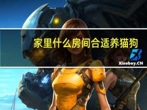 家里什么房间合适养猫狗