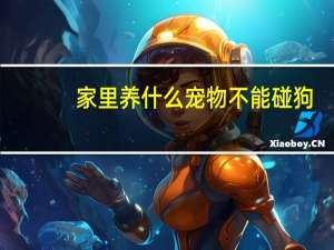 家里养什么宠物不能碰狗