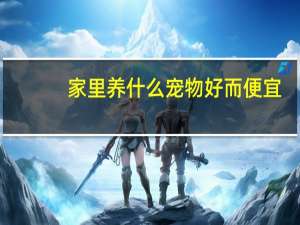 家里养什么宠物好而便宜