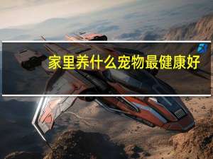 家里养什么宠物最健康好