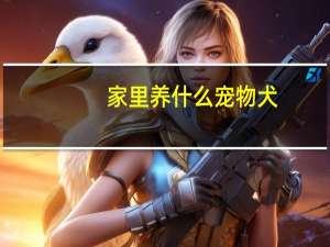 家里养什么宠物犬