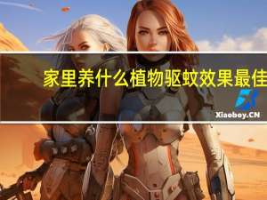 家里养什么植物驱蚊效果最佳