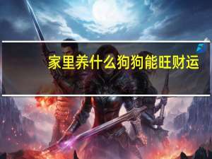家里养什么狗狗能旺财运