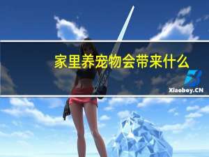 家里养宠物会带来什么