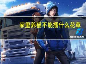 家里养猫不能插什么花草