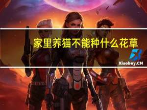 家里养猫不能种什么花草