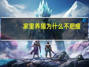 家里养猫为什么不肥瘦