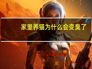 家里养猫为什么会变臭了