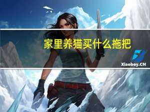 家里养猫买什么拖把