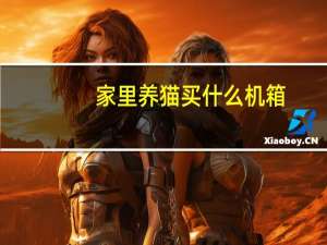家里养猫买什么机箱