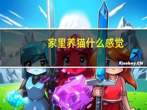 家里养猫什么感觉