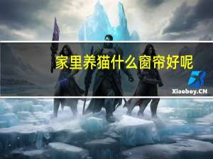 家里养猫什么窗帘好呢