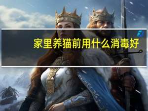 家里养猫前用什么消毒好