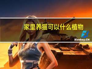 家里养猫可以什么植物