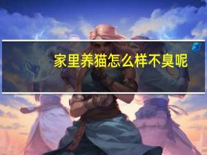 家里养猫怎么样不臭呢