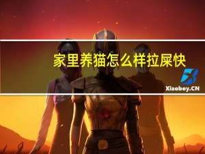 家里养猫怎么样拉屎快