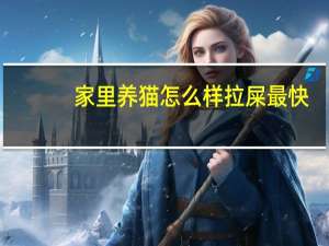 家里养猫怎么样拉屎最快