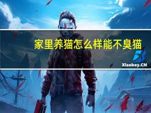 家里养猫怎么样能不臭猫