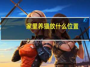 家里养猫放什么位置
