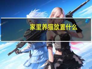 家里养猫放置什么