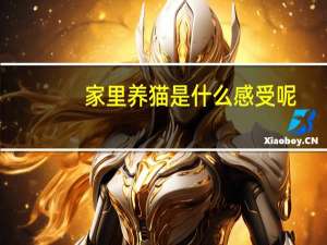 家里养猫是什么感受呢