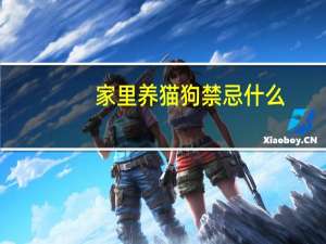 家里养猫狗禁忌什么