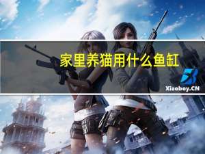 家里养猫用什么鱼缸