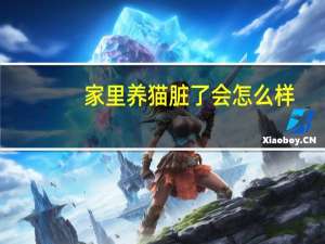 家里养猫脏了会怎么样