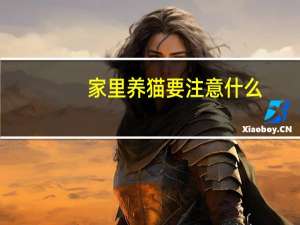 家里养猫要注意什么