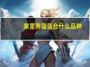 家里养猫适合什么品种
